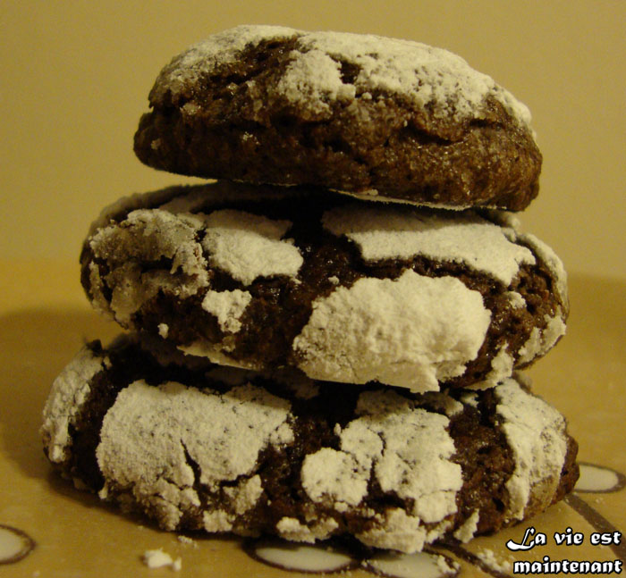 2010-02-15 Biscuits craqueles chocolat 6 c