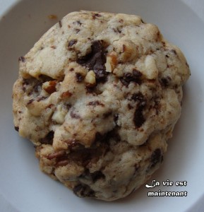 2012-12-01 Biscuits choco-pacanes 5 c